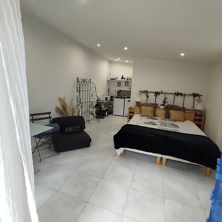 Studio Independant Dans Villa, Parking Gratuit. Кастелно-льо-Ле Екстериор снимка